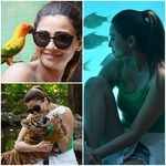 Daisy Shah spends time with tigers and other animals at Bangkok zoo