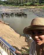 A day with elephants for Anushka Sharma