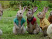 Peter Rabbit - Movie Clip