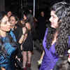 Article image for: New pictures of <i class="tbold">anshula</i>
