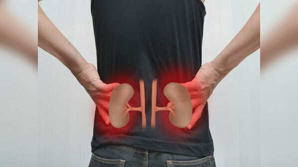 Chronic kidney disease is asymptomatic in the early stages