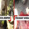 Article image for: Inter-caste couple thrashed in public by girl’s family