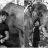 Pics: Vidyut Jammwal becomes elephant whisperer for ‘Junglee’