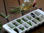 Preserving herbs