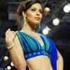 Article image for: <i class="tbold">dipti</i>
