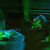 Zombie look for ‘Mercury’