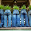 ​JEANS PLANTERS AS SCREEN GUARDS