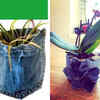 ​BACK POCKET HANGING PLANTERS