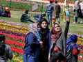 Tulip Garden in Srinagar thrown open for visitors