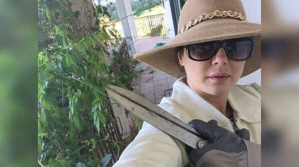Game for gardening
