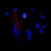 Article image for: 8th <i class="tbold">theatre olympics</i>