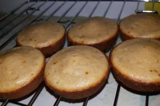 Whole Wheat Vanilla Cupcakes