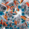 ​Bacterial contact