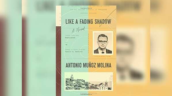 Like a Fading Shadow by Antonio Fernández Molina