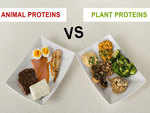 Animal vs plant protein - What's the difference?