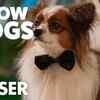 Article image for: Show Dogs - Official Teaser