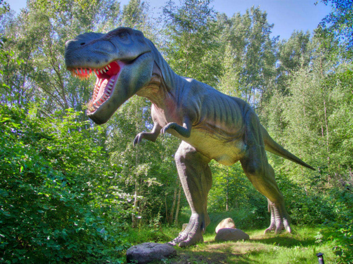 Maharashtra to get its first ever 'fossil park' | Times of India Travel