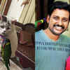 Article image for: Lalu and Jikru have turned my family into animal lovers: <i class="tbold">najim arshad</i>