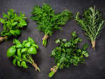 Benefits of Ayurvedic herbs!