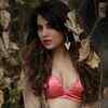 Article image for: New pictures of <i class="tbold">Priyanka Agrawal</i>