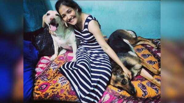 Pet lover