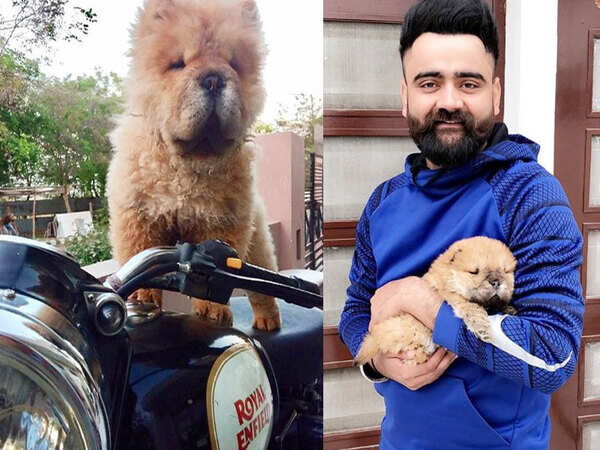 Amrit Maan Images
