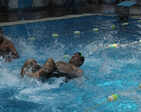 Swimming competition at Tollygunge Club