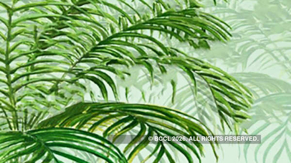 Here are the first photos of Sonam Kapoor & Anand Ahuja&rsquo;s wedding cards!