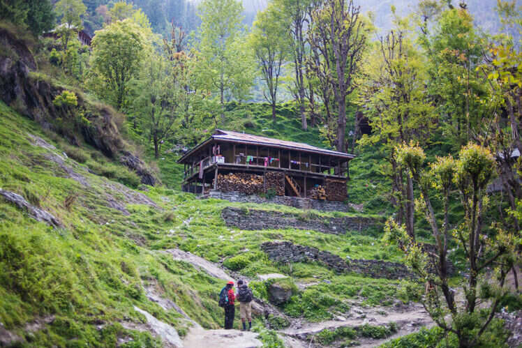 Malana is more than Malana Cream, and here’s why Malana is more than Malana Cream, and here’s why