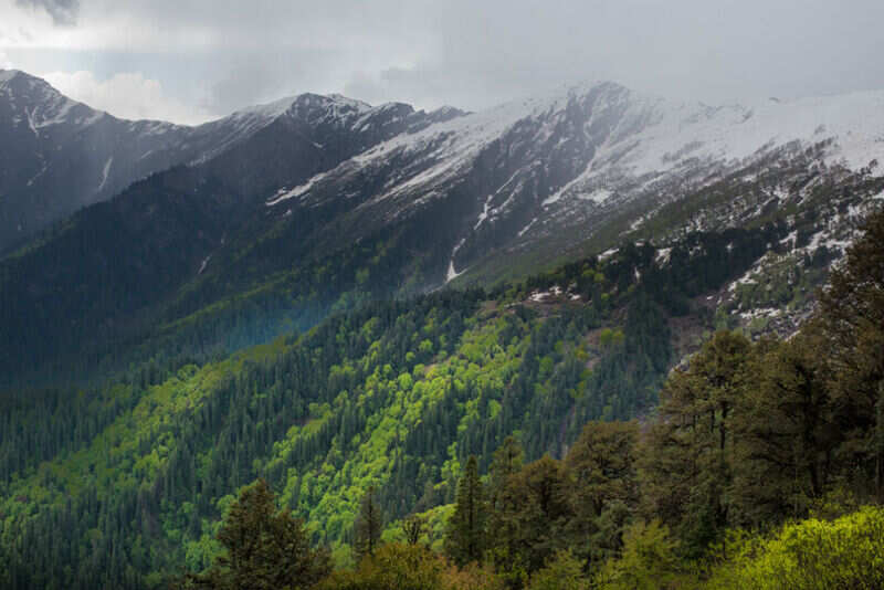 Malana is more than Malana Cream, and here&rsquo;s why