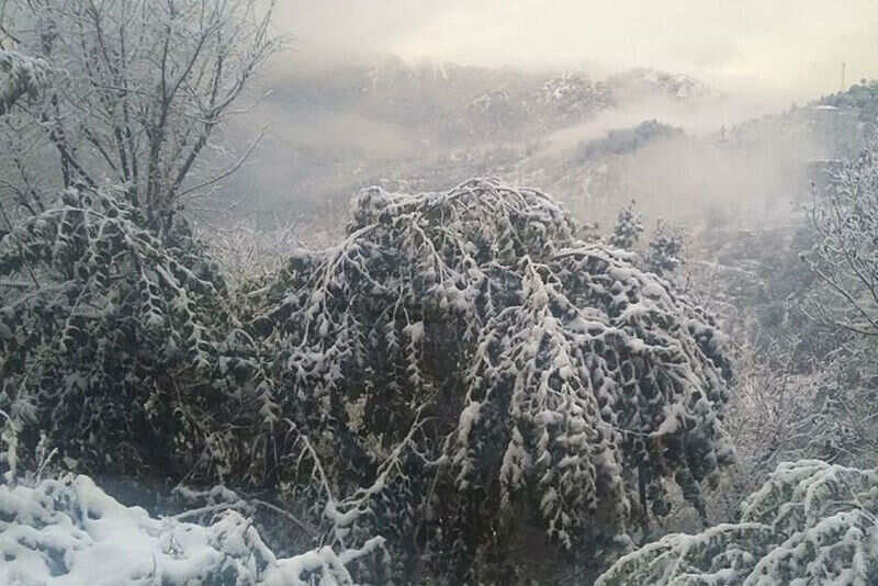 Snowfall in Shimla
