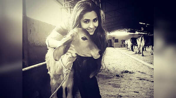 Kajal's love for her furry animal friends
