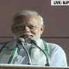 Article image for: Karnataka election results: BJP stands for <i class="tbold">national development</i>, says PM Modi