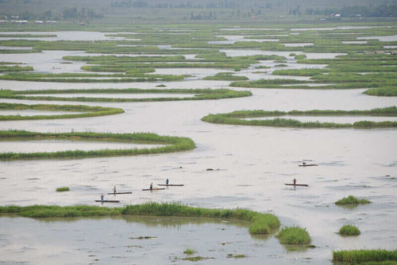 Loktak_Lake_Boat_people_Moirang_Manipur_India