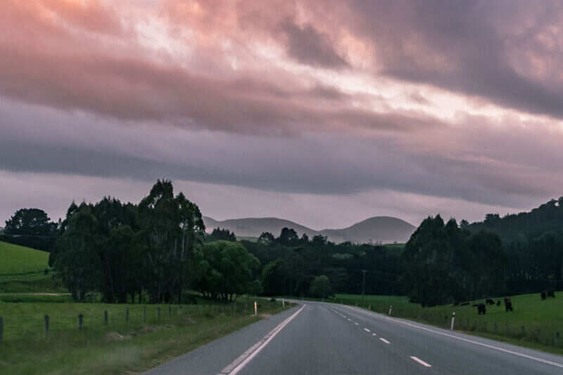State_Highway_1_between_Palmerston_and_Dunedin