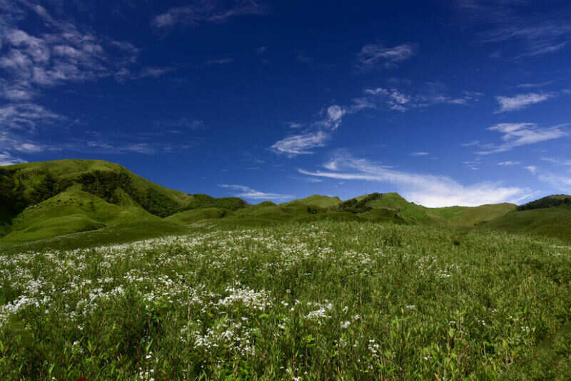 Longwa village, experience the joy of hopping borders without a visa