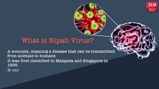 What Is Nipah Virus Niv Infection Symptoms Transmission Prevention Cure Get To Know All Of It