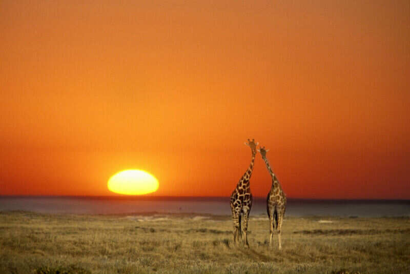 Namibia