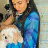 Pet lover