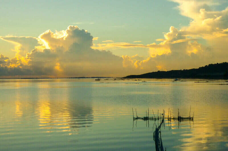 World Environment Day &ndash; four Indian wetlands protected under Ramsar Convention