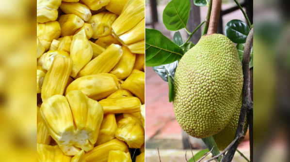 Jackfruit and its benefits