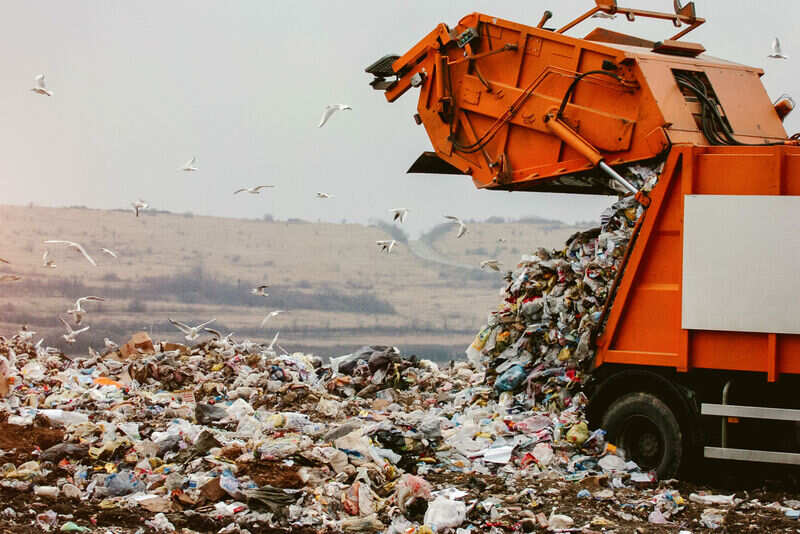 world environment day