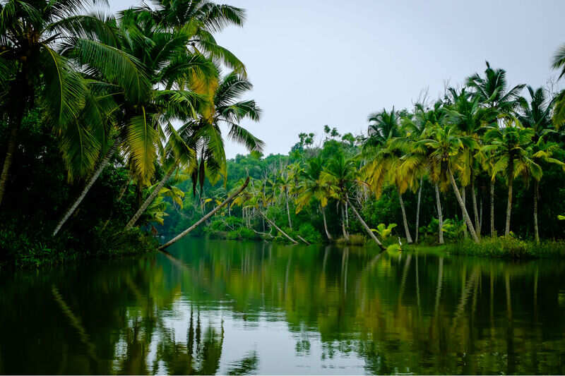 The big four destinations to romance the monsoon in India