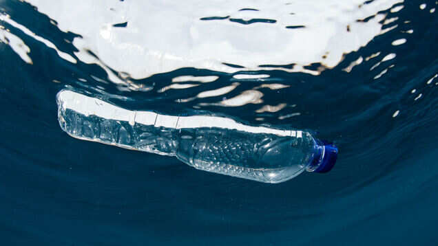 World Oceans Day&mdash;responsible travel is the need of the hour