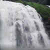 Article image for: Watch: Abbey Falls in Karnataka overflows after heavy rainfall