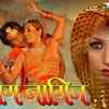 Article image for: 'Naag <i class="tbold">naagin</i>'