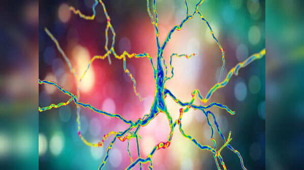 Brain dysfunction