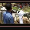 Article image for: At least 8 dead in <i class="tbold">kaushambi</i> car accident