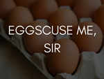 And these eggs are nothing less than gentlemen.