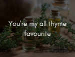 Can't come up with a pickup line? Thyme to the rescue.